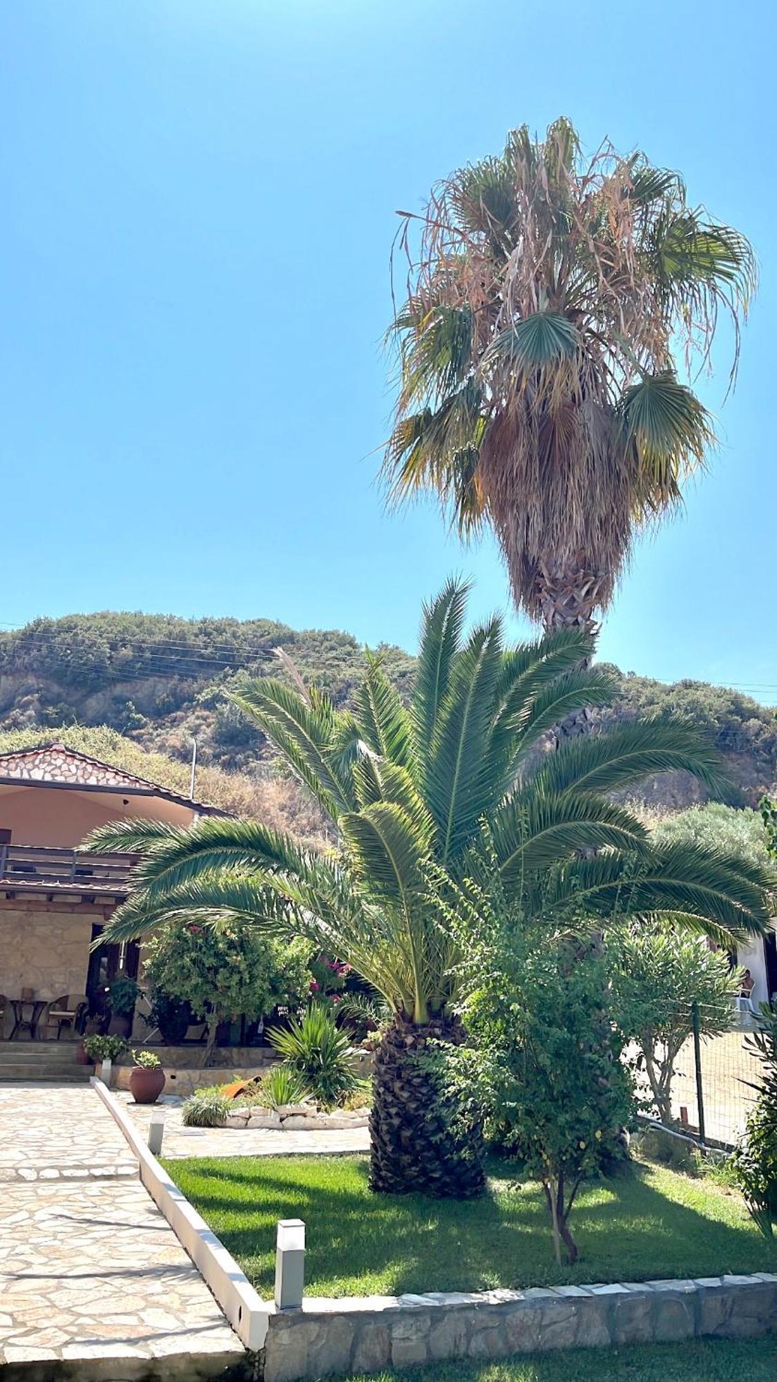 Palma Beach House Sarti Eksteriør bilde