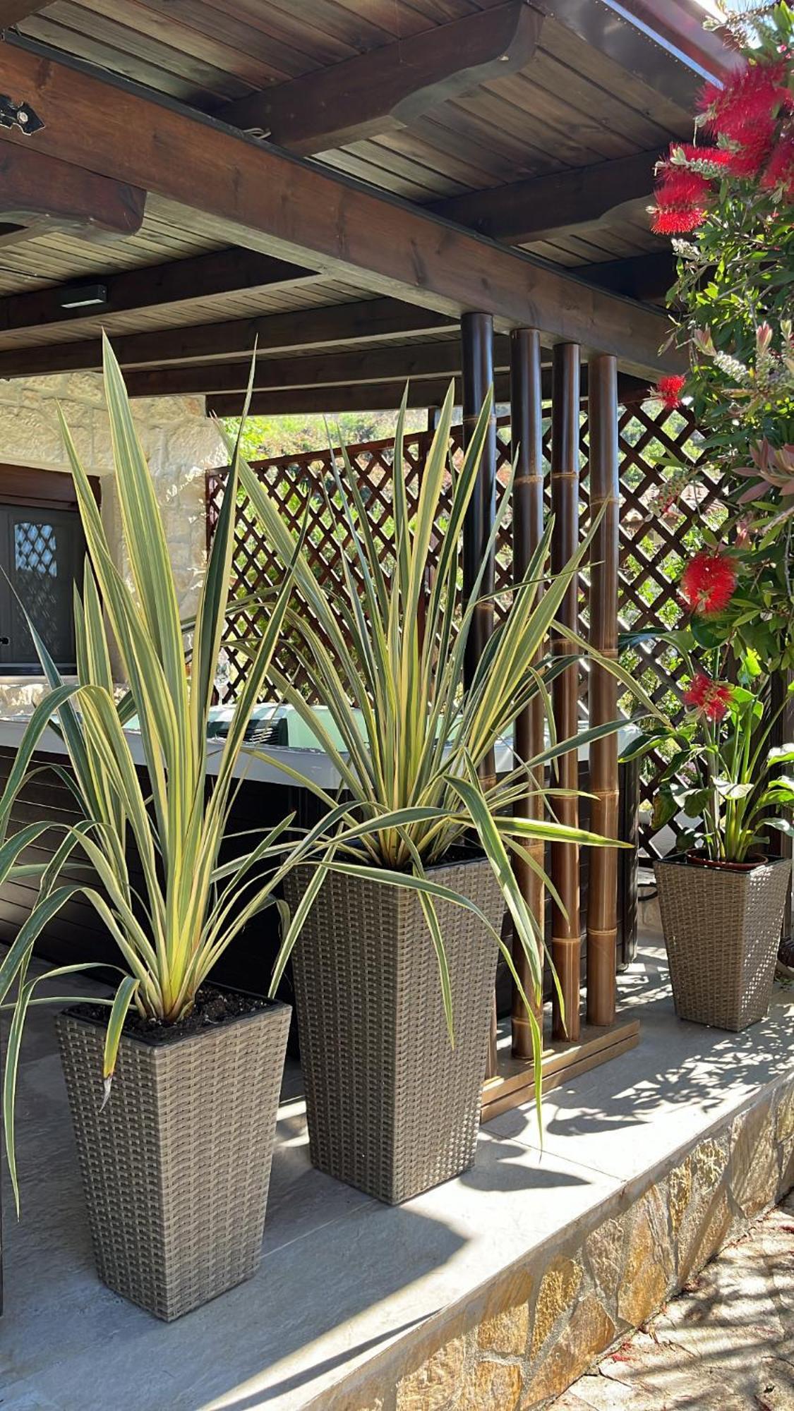 Palma Beach House Sarti Eksteriør bilde